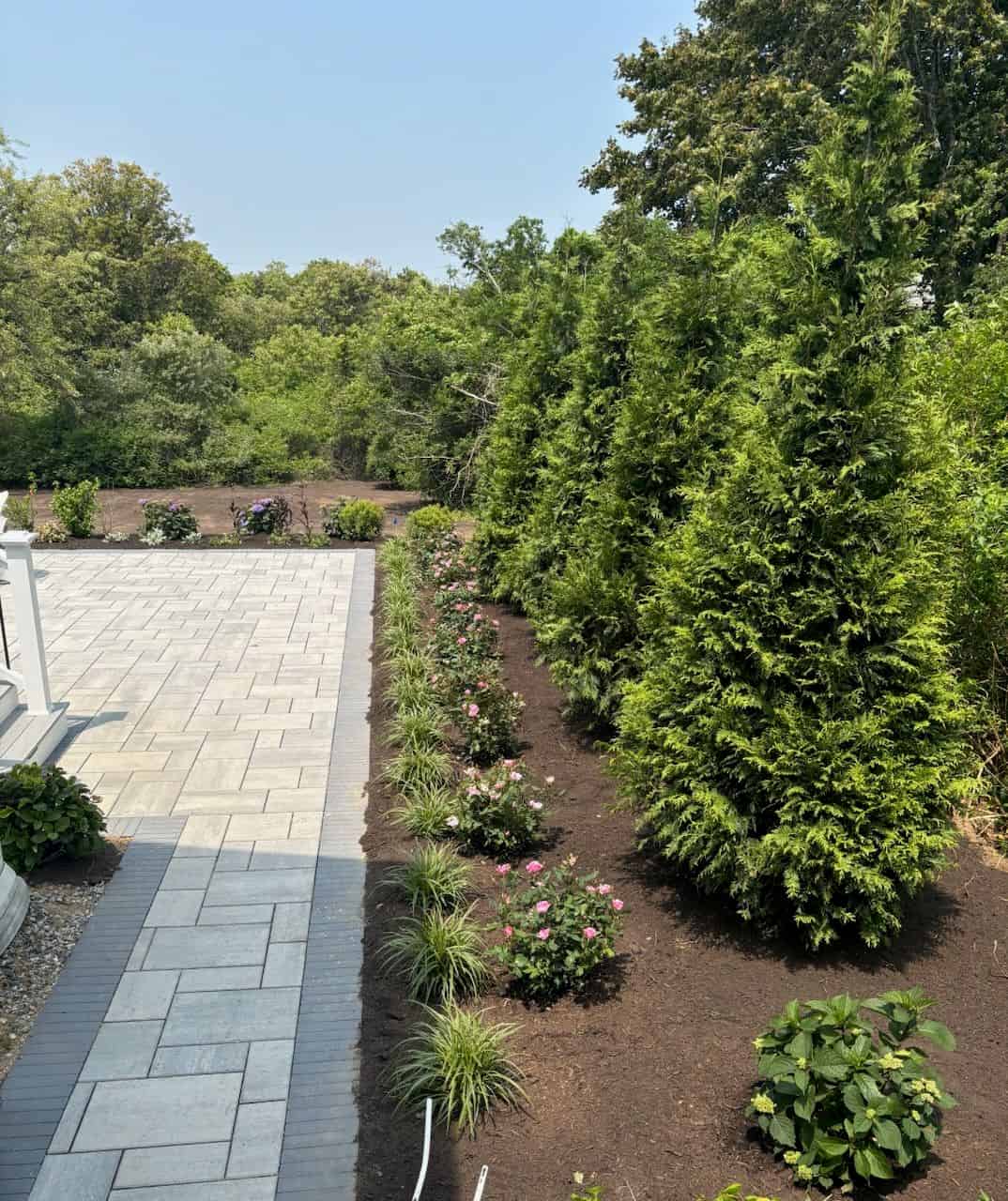 Plant & Tree Installation image