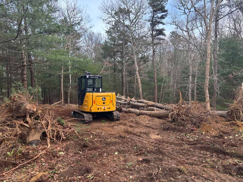 Land Clearing & Mulching image