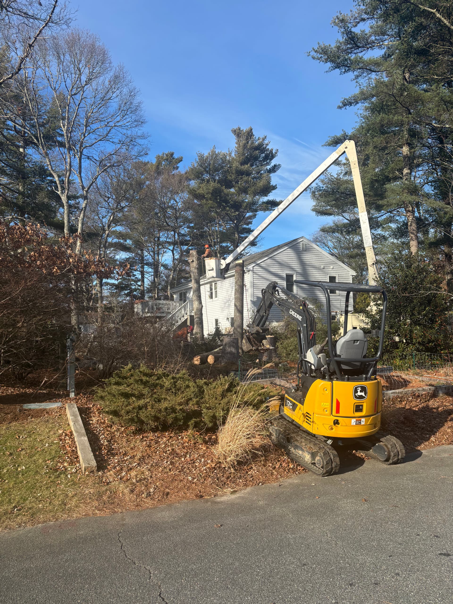 Gallery photos for Efficient Tree Removal in Centerville MA: Image #2